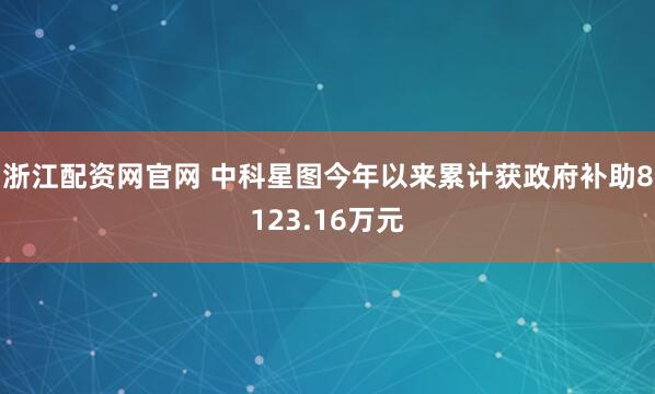 浙江配资网官网 中科星图今年以来累计获政府补助8123.16万元