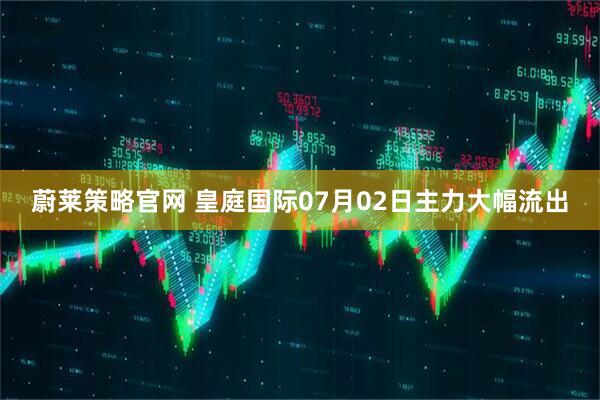 蔚莱策略官网 皇庭国际07月02日主力大幅流出