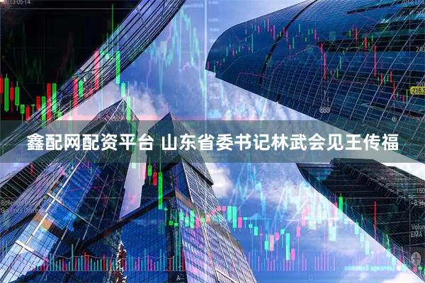 鑫配网配资平台 山东省委书记林武会见王传福